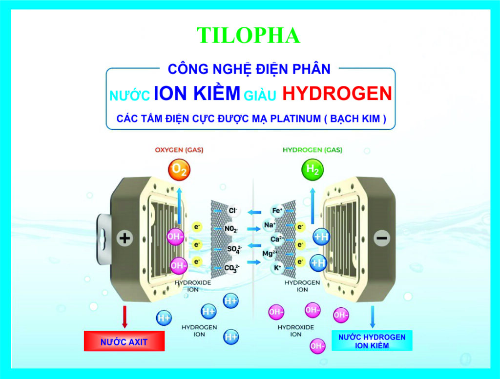 Hình ảnh này chưa có thuộc tính alt; tên tệp của nó là 808-4-1-1024x777.jpg